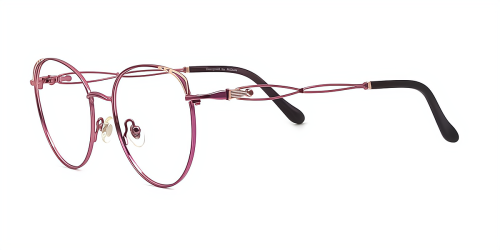 Purple Cateye Gorgeous Unique Full-rim Metal Large Glasses for female from Wherelight
