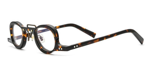 Tortoiseshell Quirky Acetate Glasses