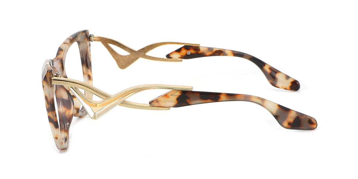eyeglasses picture