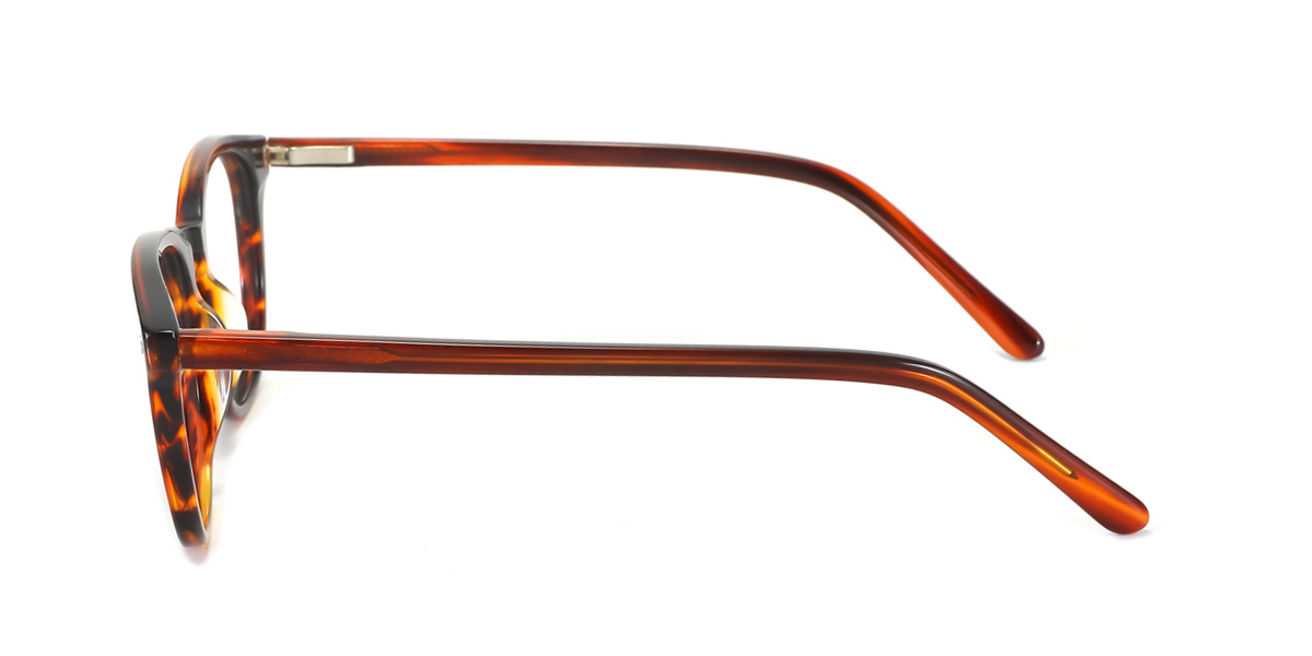 eyeglasses picture