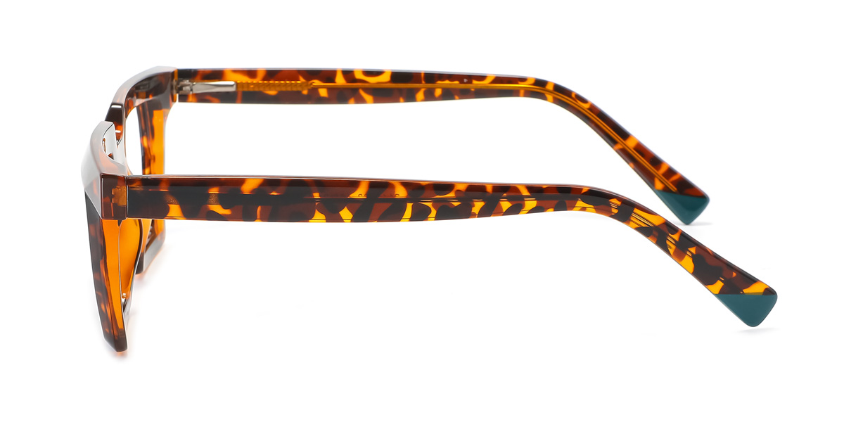 eyeglasses picture