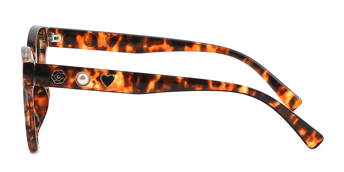 eyeglasses picture