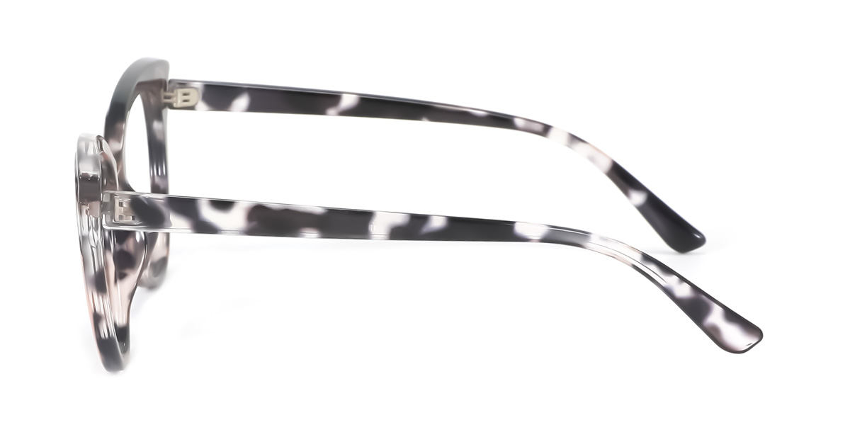 eyeglasses picture