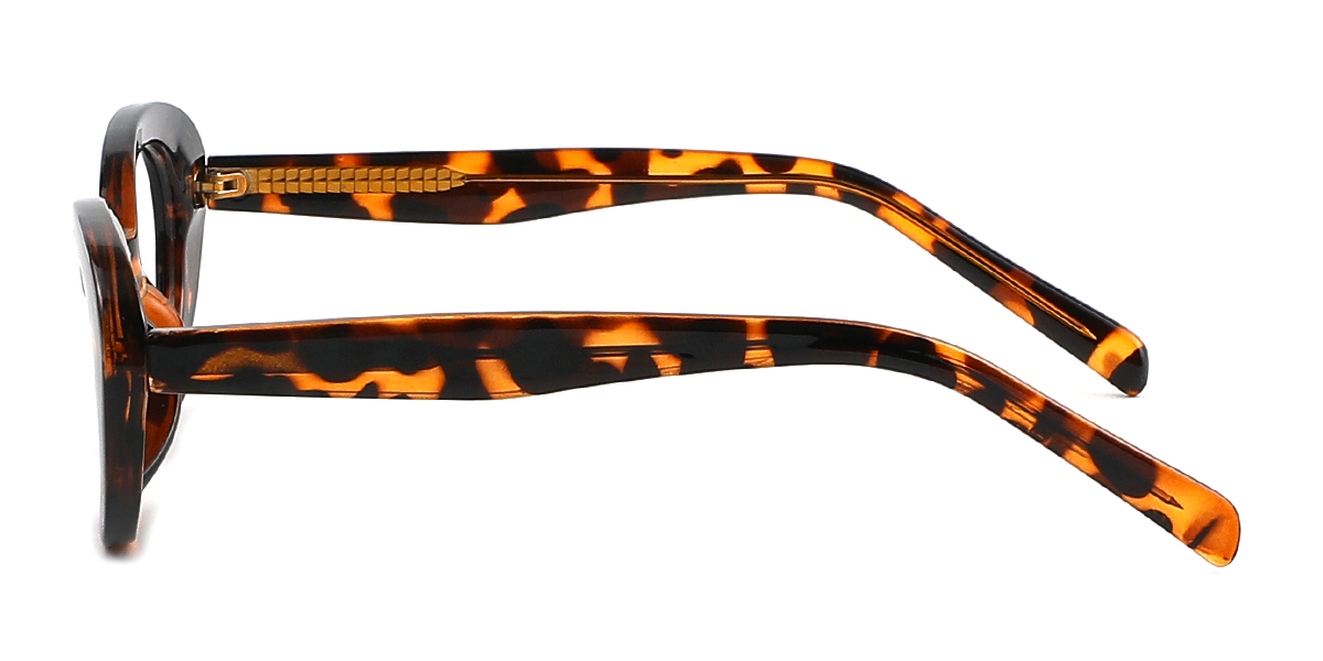 eyeglasses picture