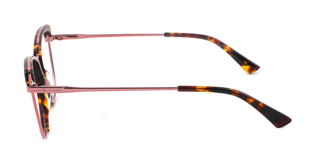eyeglasses picture