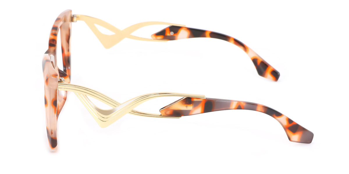 eyeglasses picture