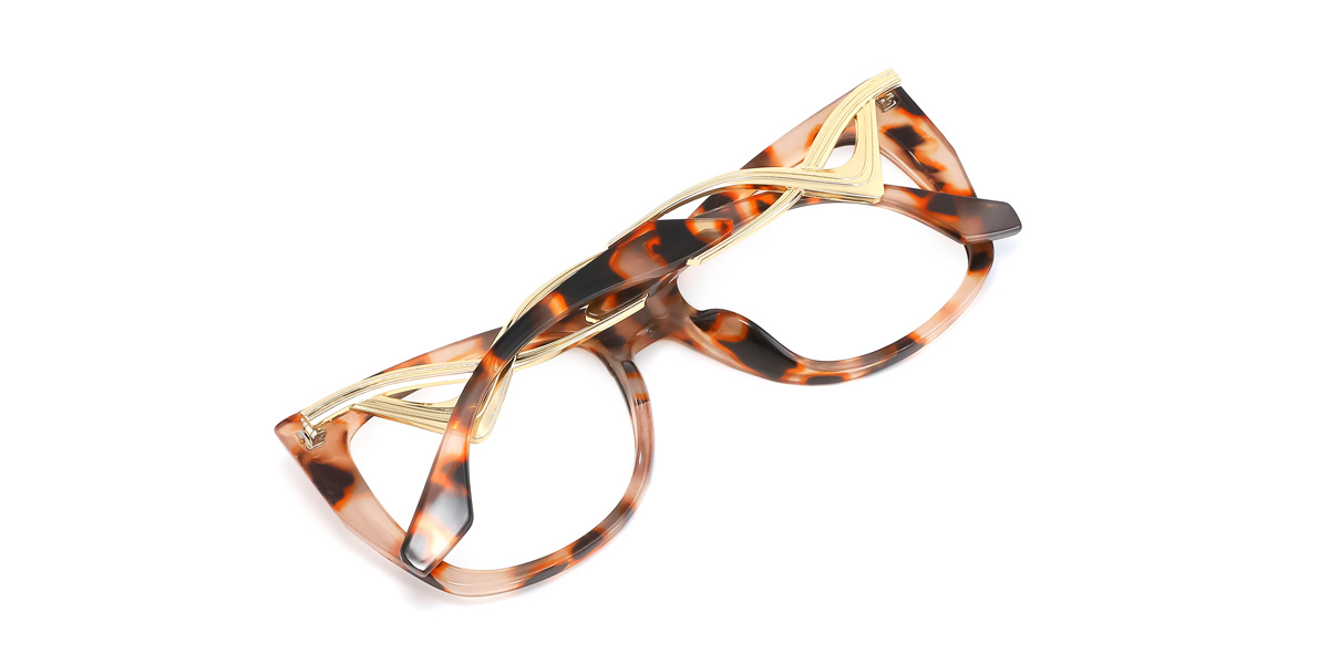 eyeglasses picture
