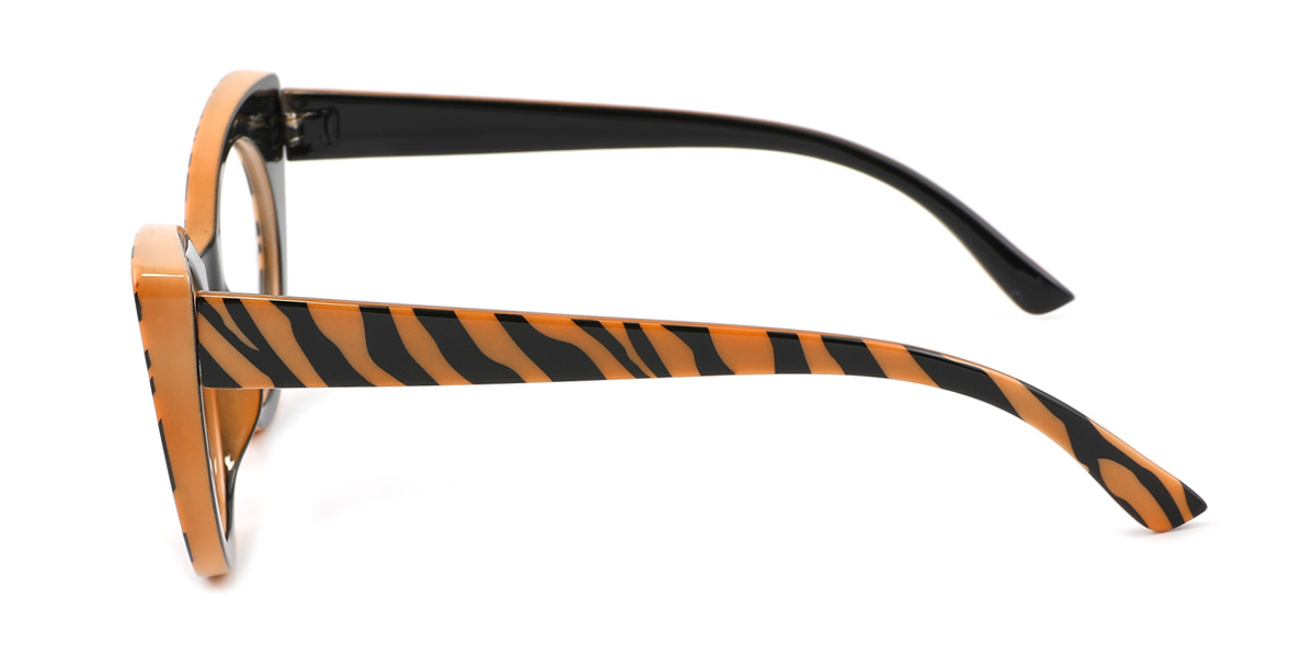 eyeglasses picture