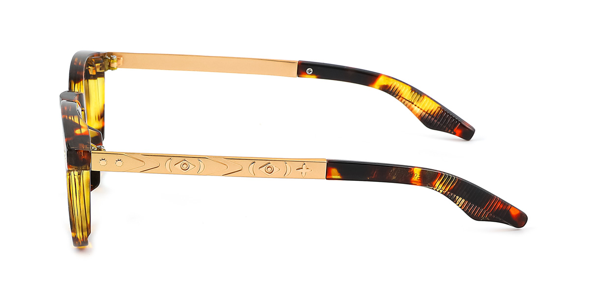 eyeglasses picture
