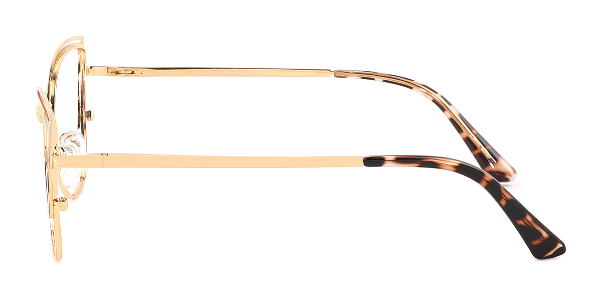 eyeglasses picture
