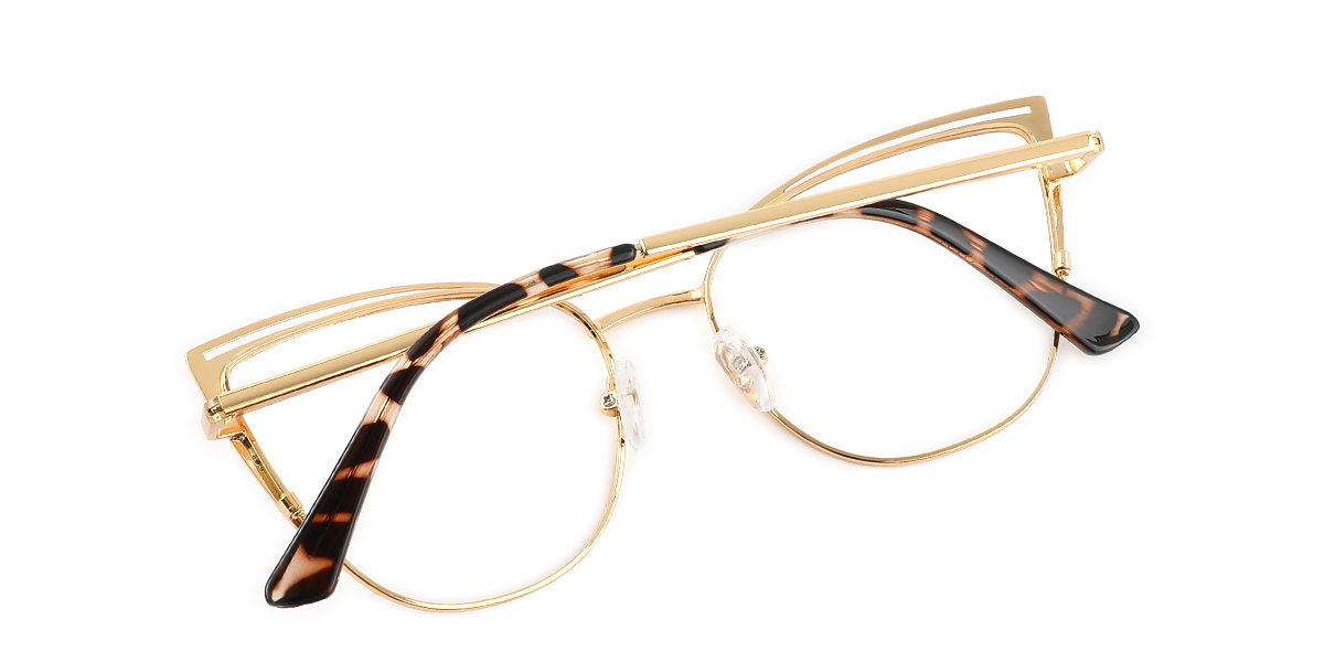 eyeglasses picture