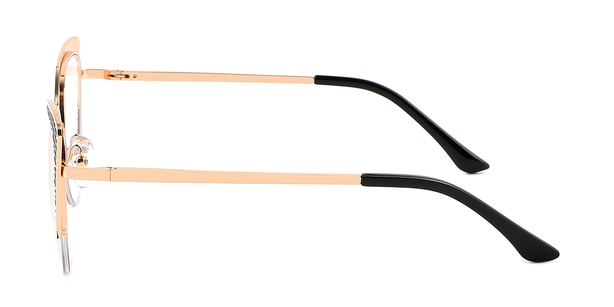 eyeglasses picture