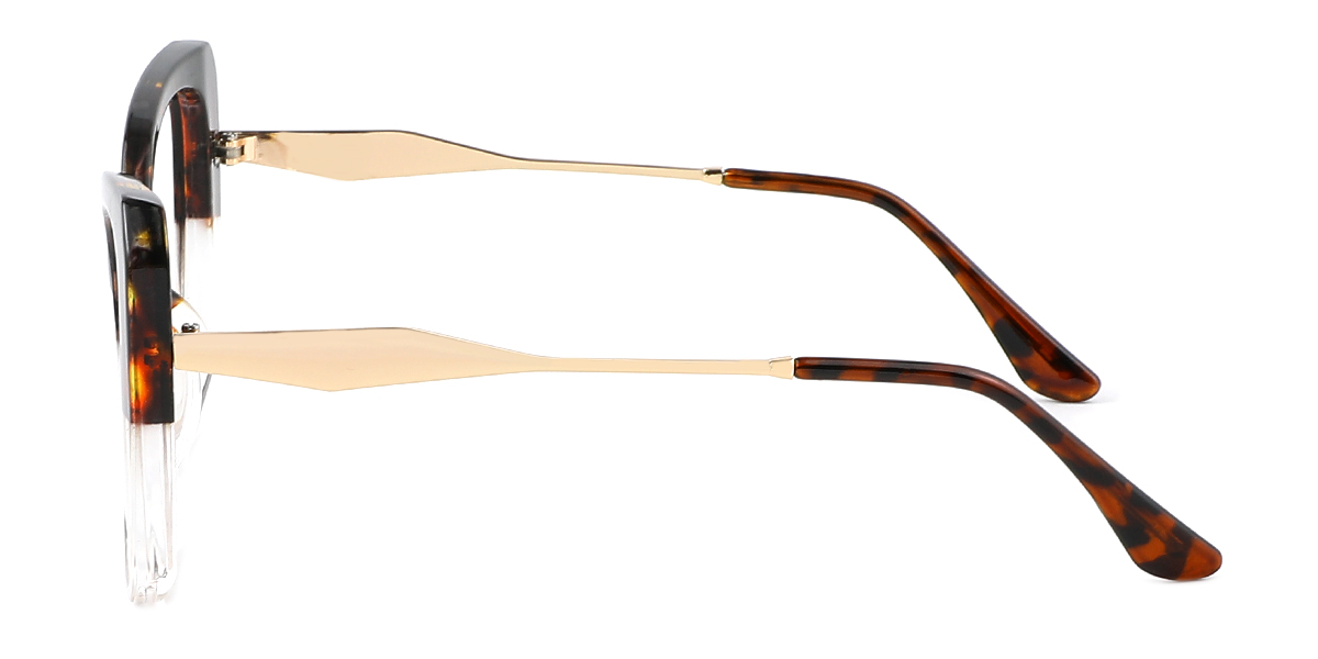 eyeglasses picture