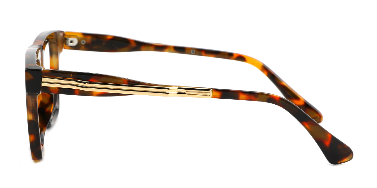 eyeglasses picture