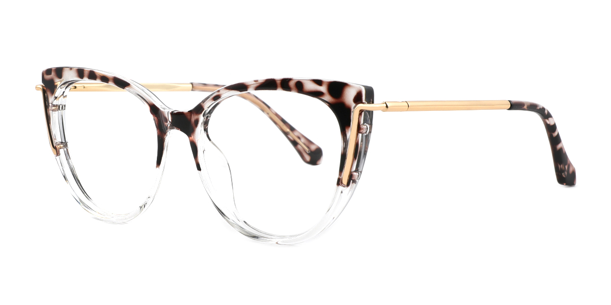 eyeglasses picture