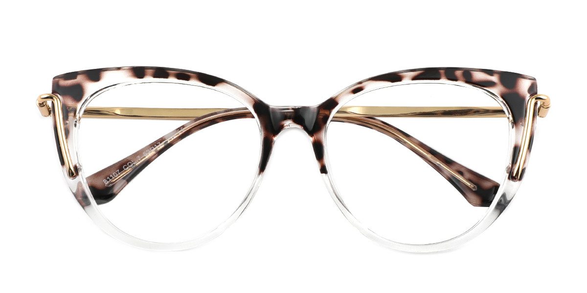 eyeglasses picture