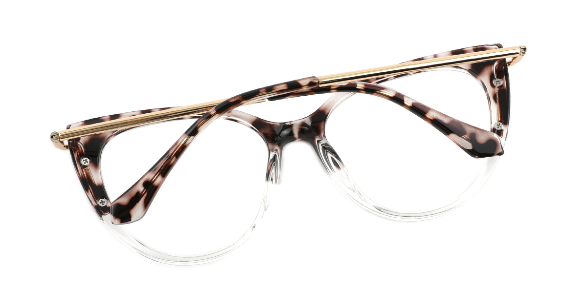eyeglasses picture