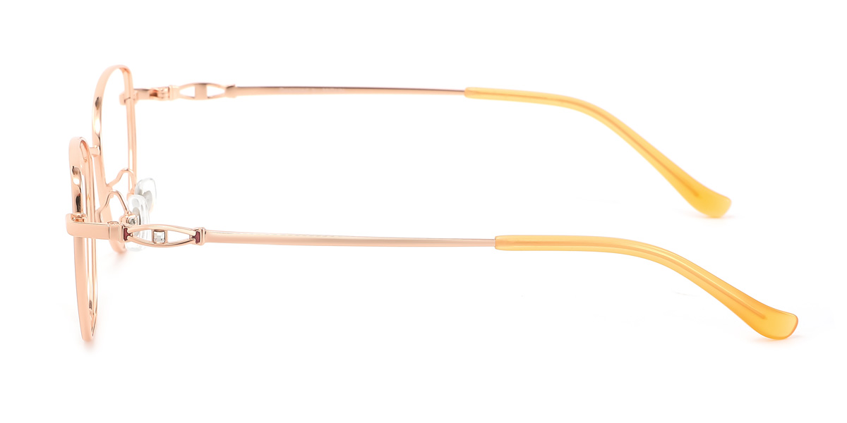 eyeglasses picture