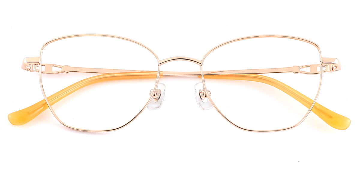 eyeglasses picture