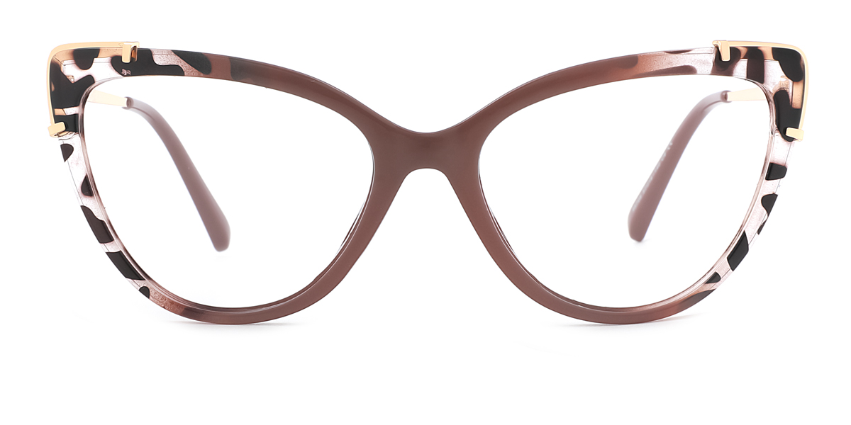 eyeglasses picture