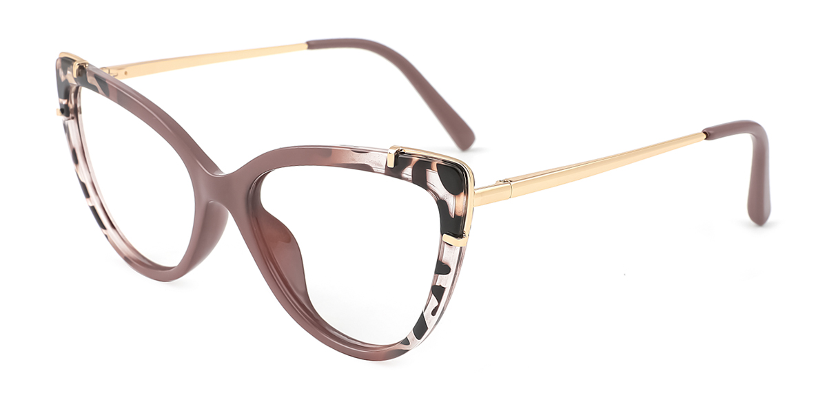 eyeglasses picture