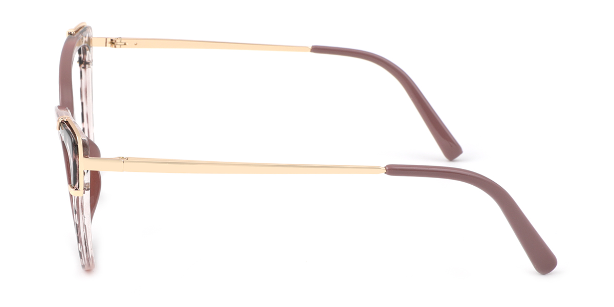eyeglasses picture
