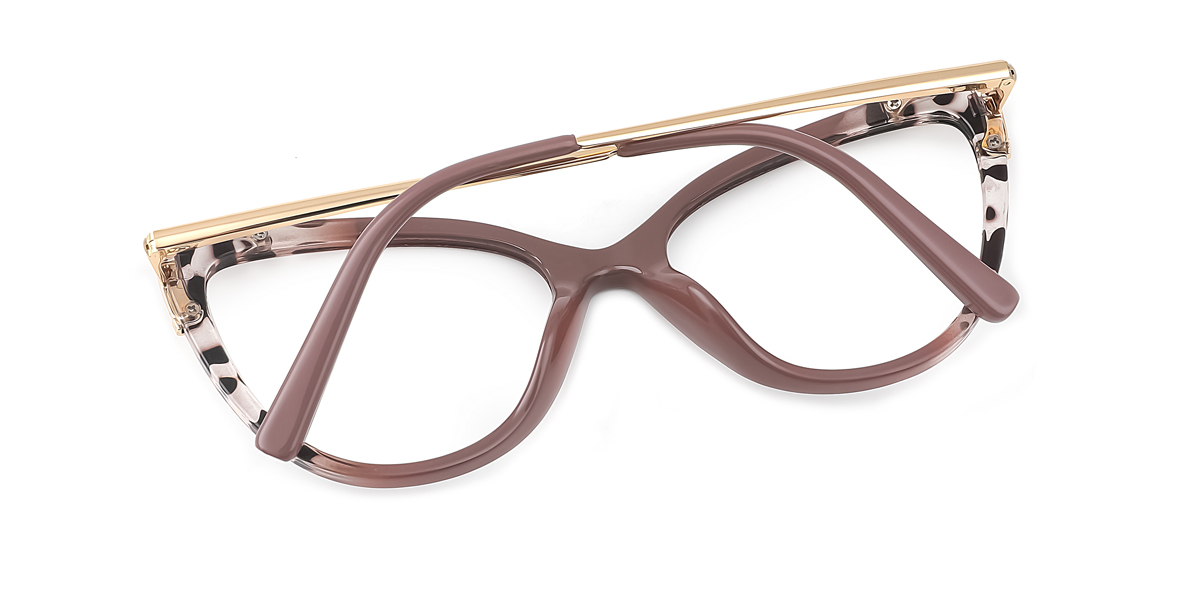 eyeglasses picture