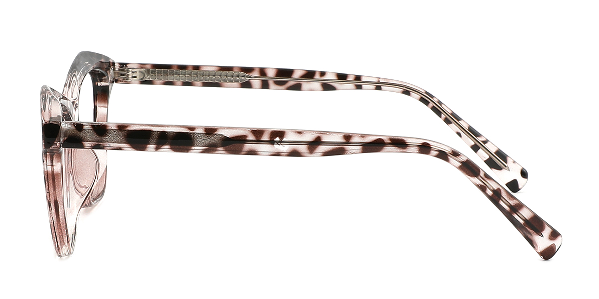 eyeglasses picture