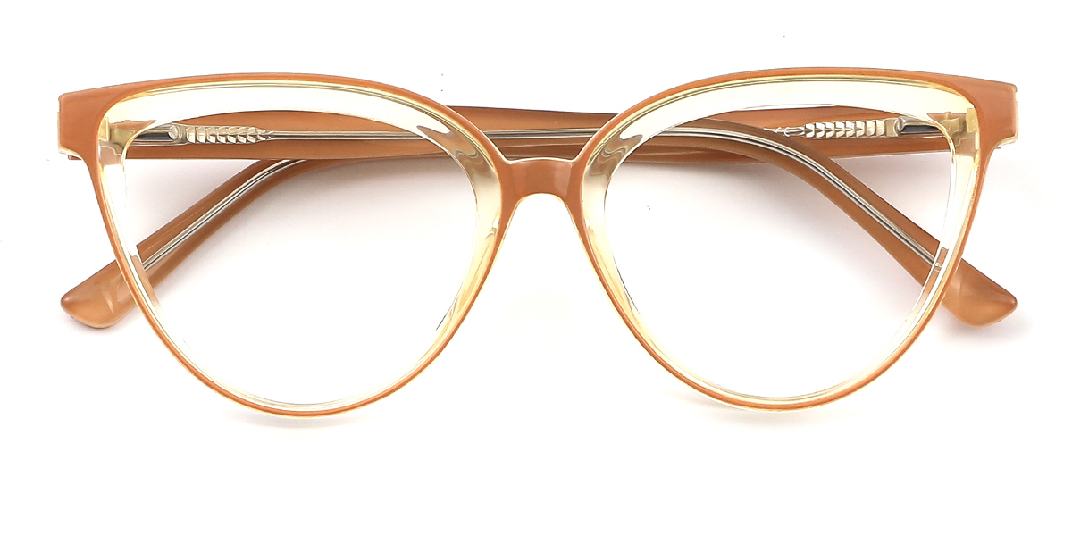 eyeglasses picture