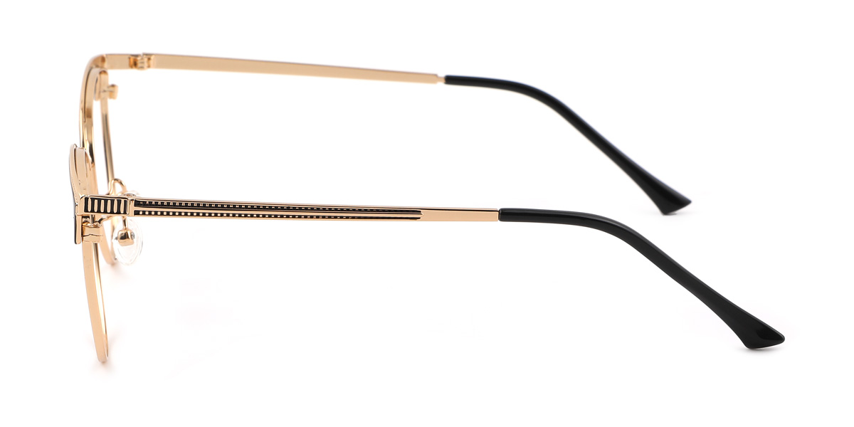 eyeglasses picture