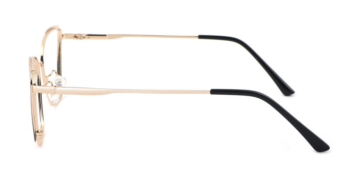eyeglasses picture