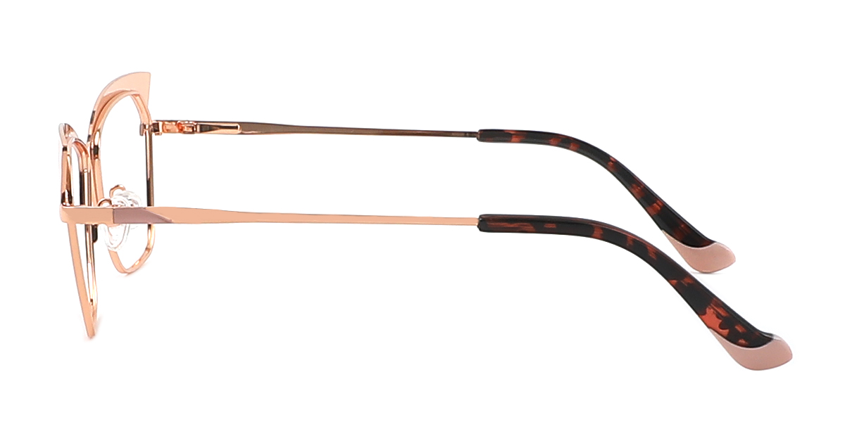 eyeglasses picture