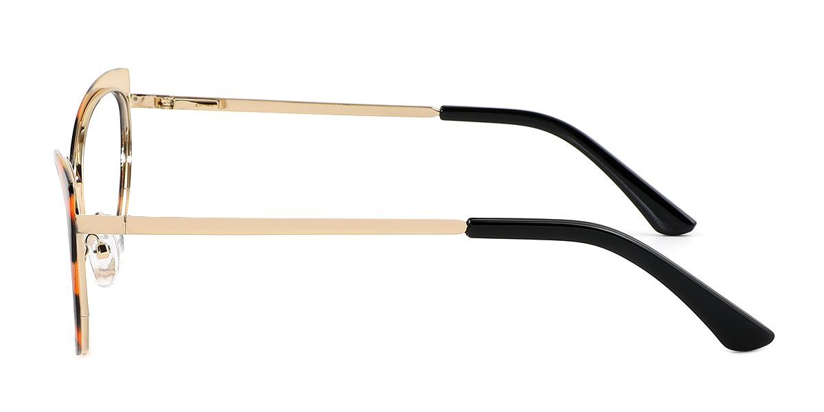 eyeglasses picture