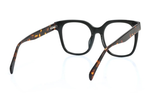 Looking for a fresh, lovely pair for daily wear?