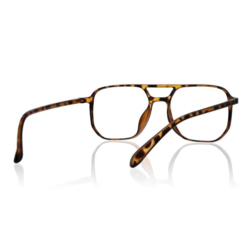 Looking for versatile eyeglasses?