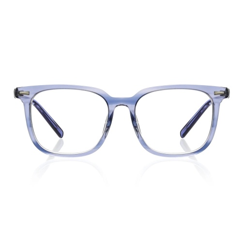 Want glasses that blend classic elegance with modern flair?