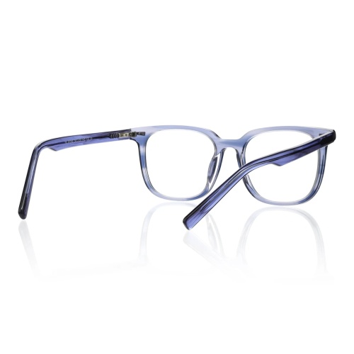 Want glasses that blend classic elegance with modern flair?