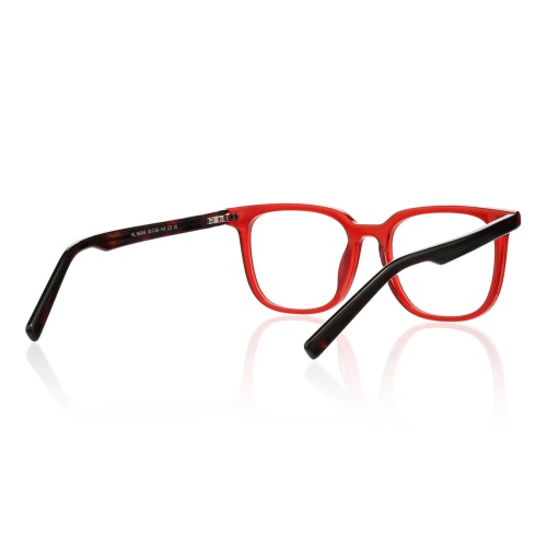 Want glasses that blend classic elegance with modern flair?