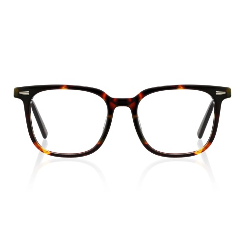 Want glasses that blend classic elegance with modern flair?