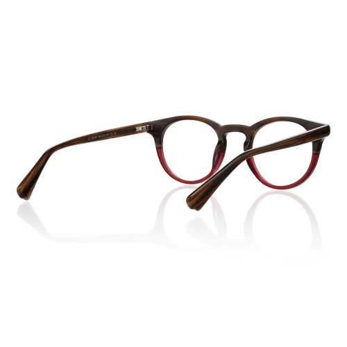 Searching for frames that blend classic elegance with contemporary flair?
