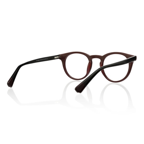 Searching for frames that blend classic elegance with contemporary flair?
