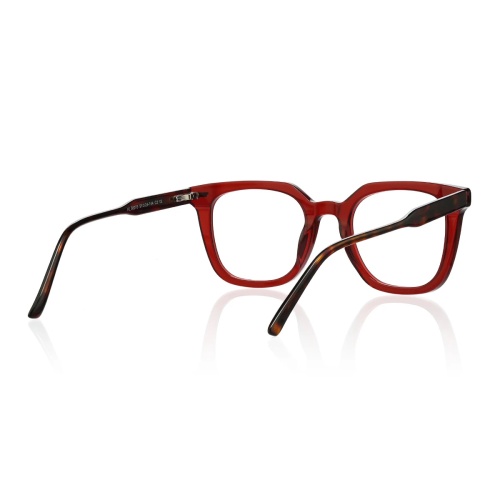 Looking for glasses that blend style, comfort, and versatility?