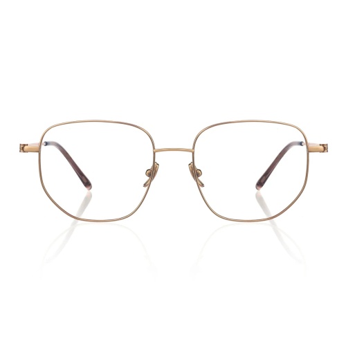 Hey, check out this awesome eyeglass frame!