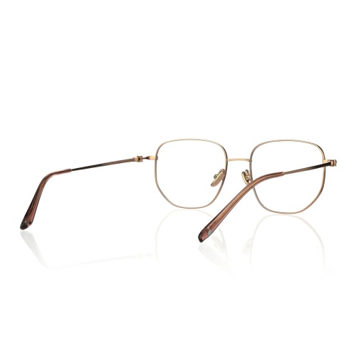 Hey, check out this awesome eyeglass frame!